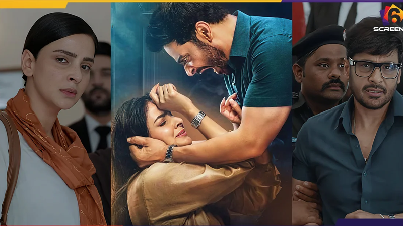 Case No. 9 Final Reaction in the Public | Six Screens.