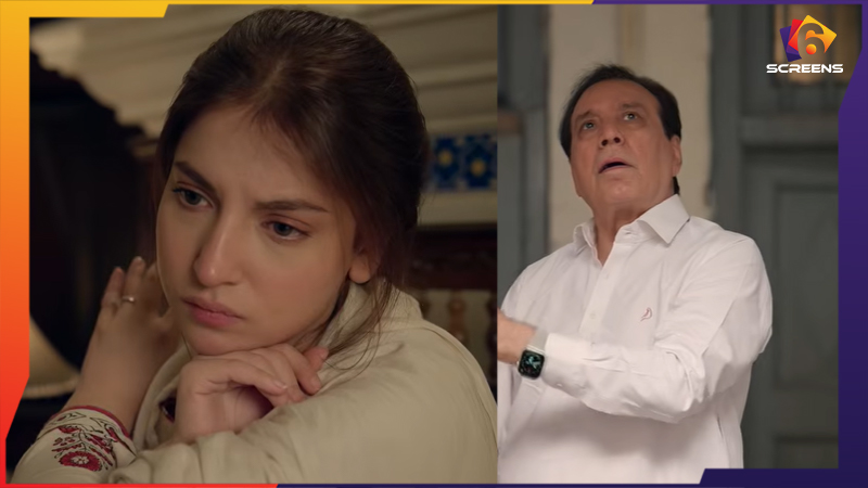 Hurmat Teaser Has Us Curious About Dananeer Mobeen’s New Role
