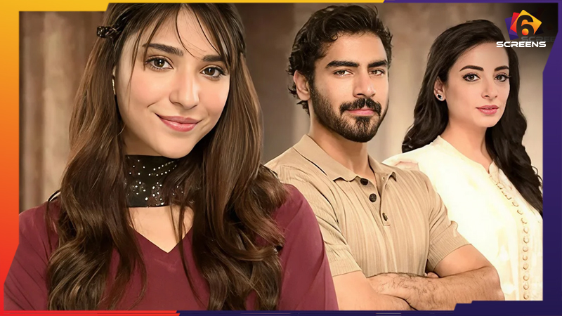 Biryani Episode 21 – Has the Drama Lost Its Flavor? | Six Screens