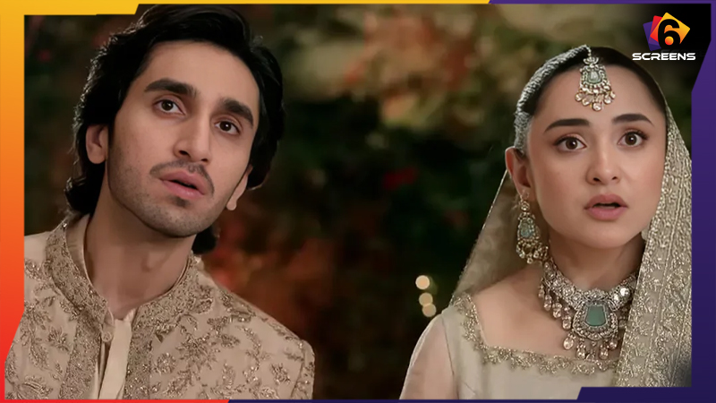 Dekh Zara Pyar Se Story So Far: A Total Overview | Six Screens