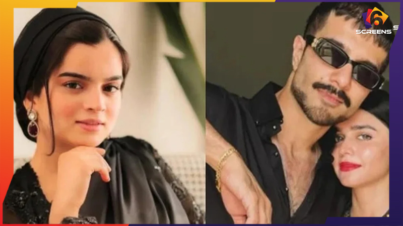 Feroze Khan’s Wife and Ex-Wife Clash on Instagram | Six Screens