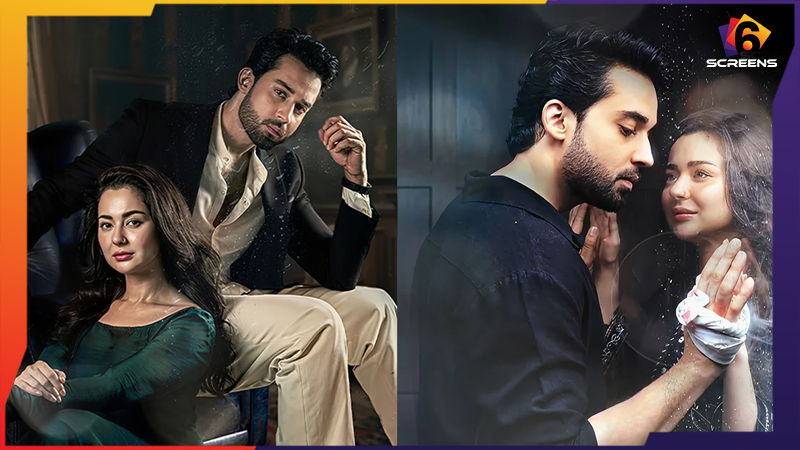Viewers Compare Meri Zindagi Hai Tu’s Kamyar to Khaani’s Mir Hadi | Six Screens