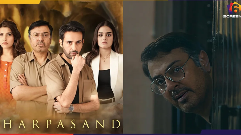 Viewers Think Farasat’s Character Affected Nauman Ijaz’s Performance | Six Screens