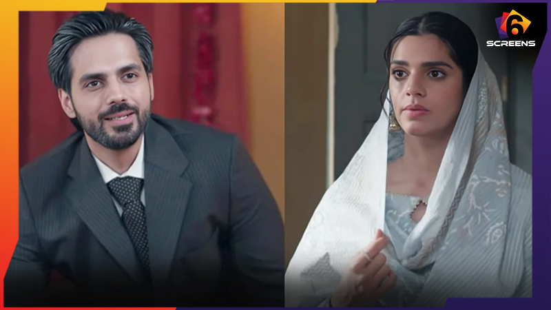 Kafeel episode 21 review: Zeba meets the real Jami | Six Screens