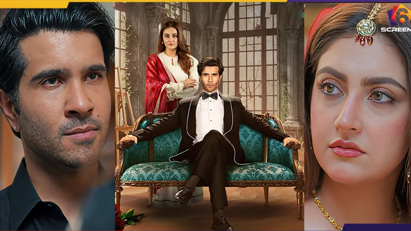 Main Zameen Tu Aasman: Final Episode Public Reaction | Six Screens.