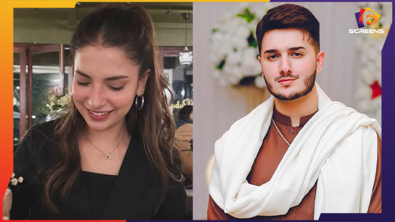 Dananeer Mobeen and Shahveer Jafry Upcoming Drama Details