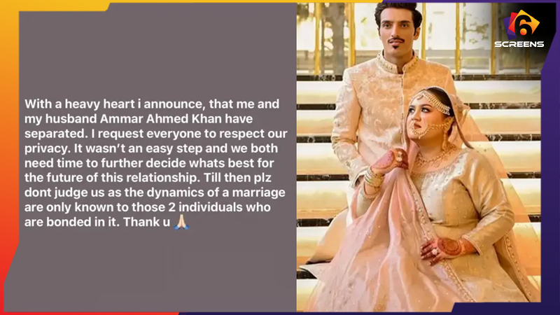 Sharmeen Rizvi’s Heartfelt Message on Her Separation | Six Screens