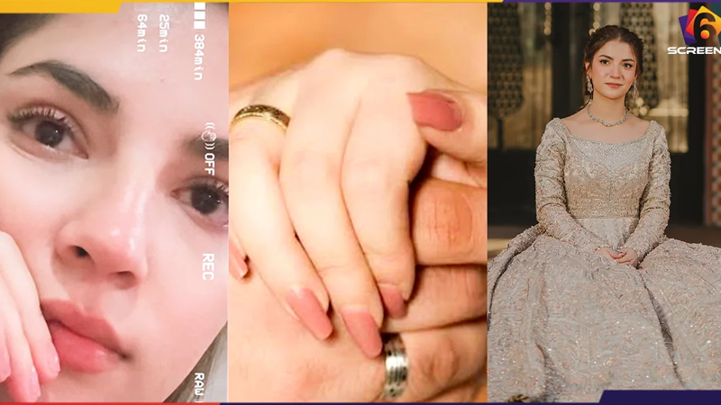 Dananeer Mobeen Gets Trolled After Engagement Post | Six Screens