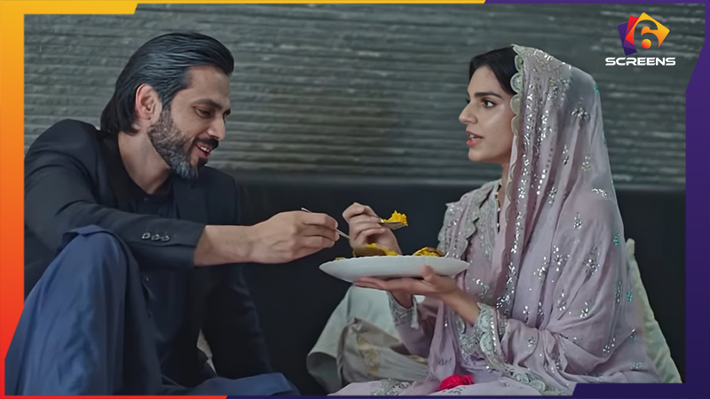 Final Episode of Kafeel was a Success - Heartfelt Climax That Made All Fall in Love