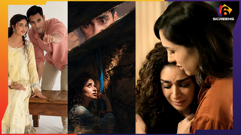 Top Pakistani Drama Scenes From The Last Week