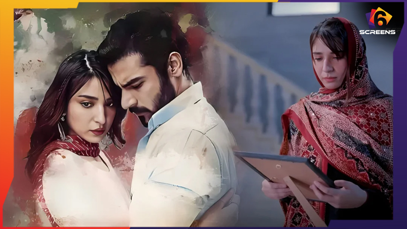 Biryani Episode 14 Delivers a Big Twist But With Flaws | Six Screens