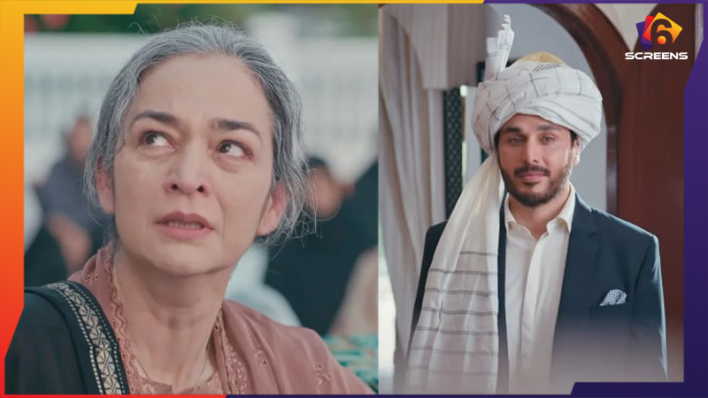 Zanjeerein Episode 7: Sherdil’s Death Leaves Fans Emotional
