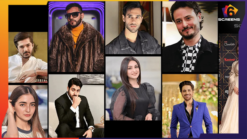 Top Red Carpet Looks from Recent Pakistani Award Shows