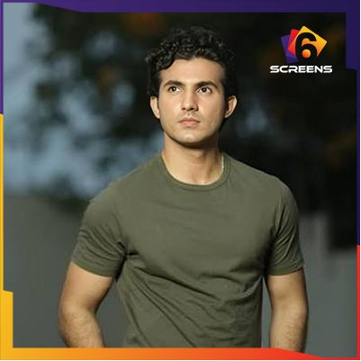 Syed Shahroz Sabzwari - SixScreens