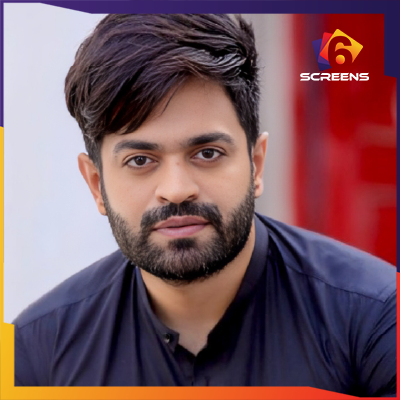 Naveed Raza - Six Screens