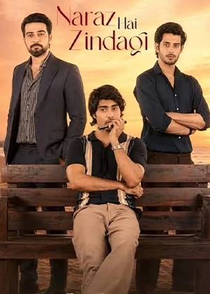 Naraz Hai Zindagi