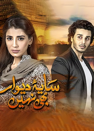Saya-e-Dewar Bhi Nahi