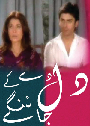 Dil De Ke Jayengy