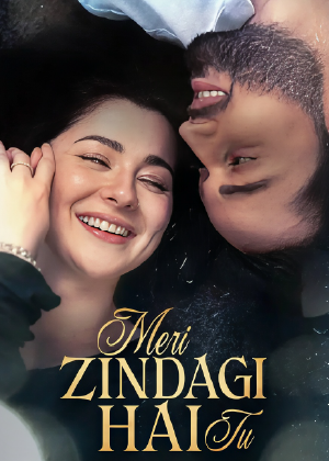 Meri Zindagi Hai Tu