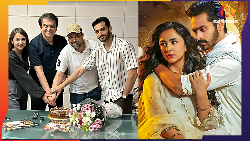 Yumna Zaidi & Wahaj Ali Drama Tere Bin 2 Details Revealed | Full Story & Updates | Six Screens