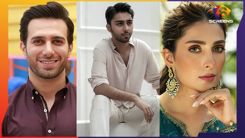 Pakistani Stars Who Rewrote Their Careers With One Iconic Role