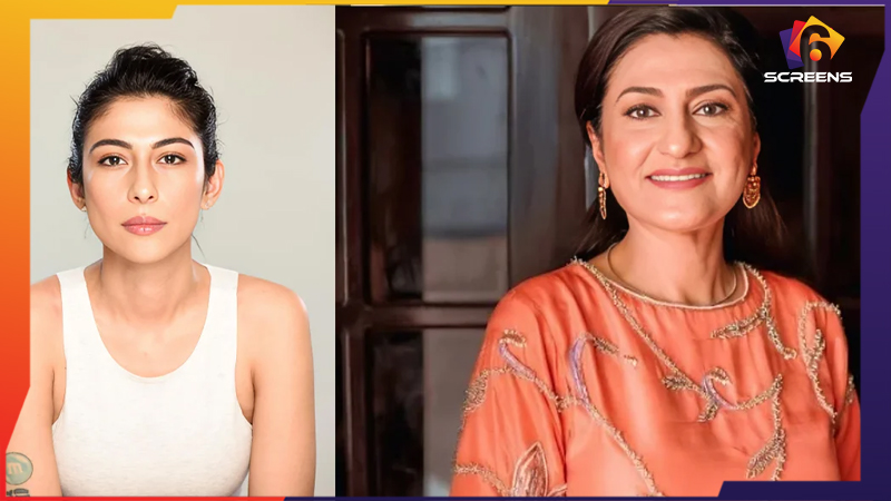 Saba Hameed Breaks Silence on Ali Zafar-Meesha Shafi Case | Six Screens
