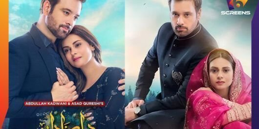 Dil e Nadaan Faces Backlash