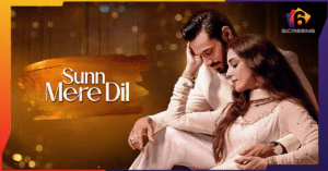 Sunn Mere Dil