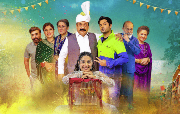 Chaudhry and Sons Drama
