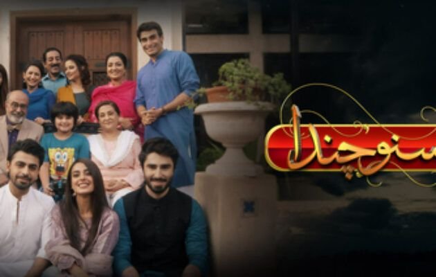 Suno chanda cover