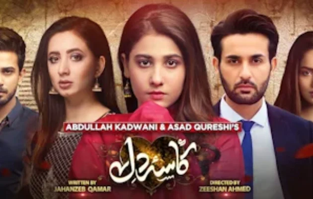 Kasa-e-Dil Pakistani Drama - SixScreens