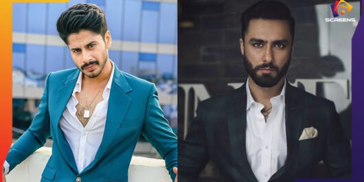 The Most Unappreciated Stars Of Pakistan