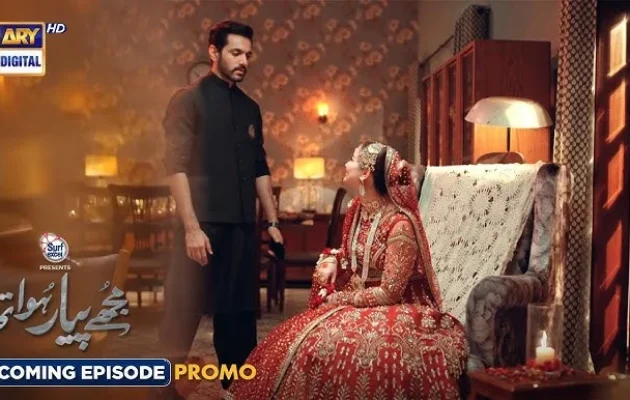 Mujhe Pyaar Hua Tha