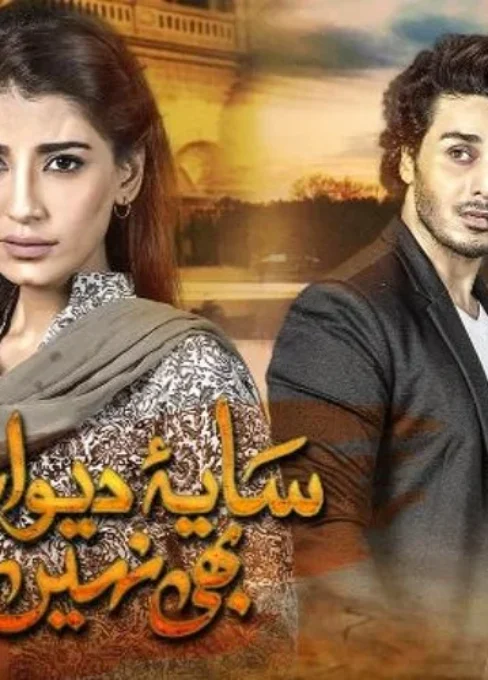 Saya-e-Dewar Bhi Nahi