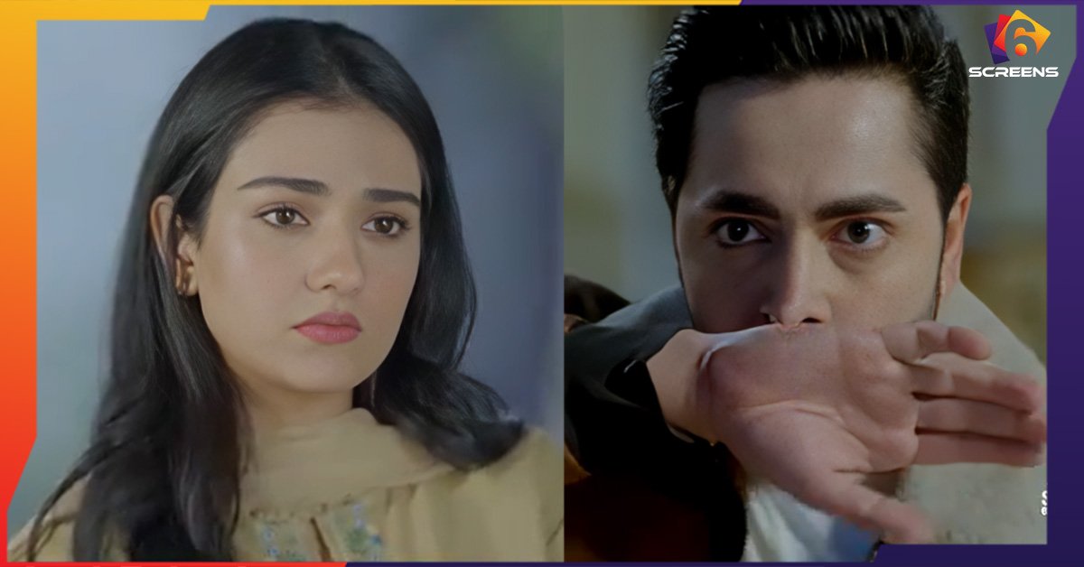 The finale of Sher sparked mixed reactions as Danish Taimoor and Sarah Khan