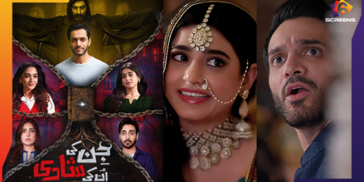 Jinn Ki Shadi Unki Shadi Finale Wins Some Fans — Draws Mixed Feelings